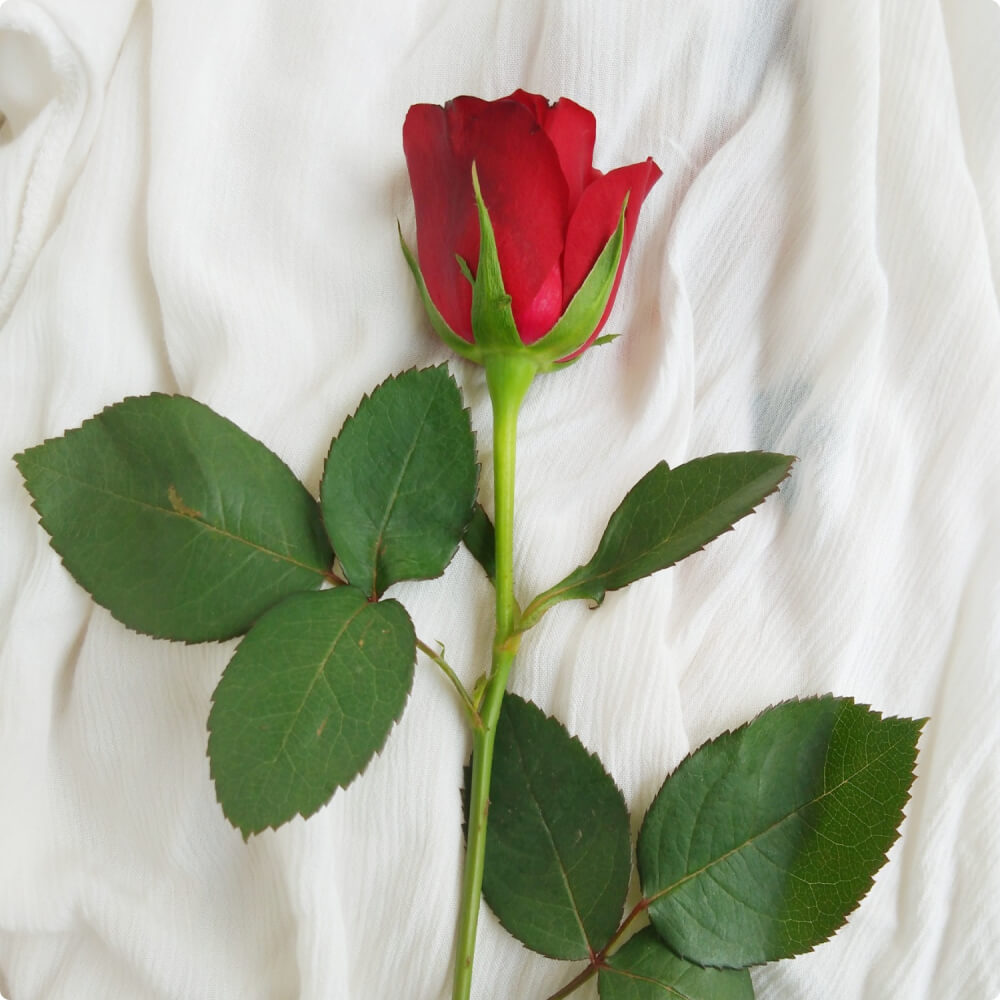 Custom Floral Designs - Imagen 2