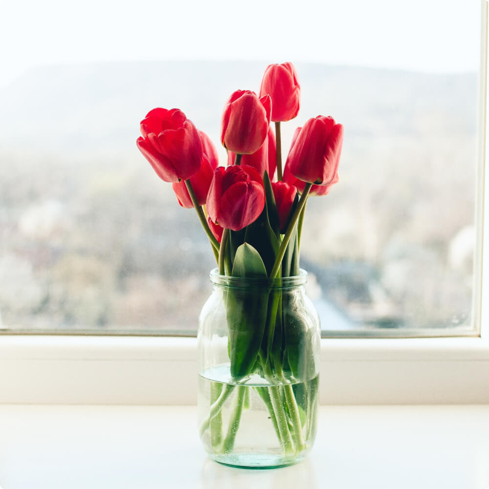 Tulip Flower - Imagen 2