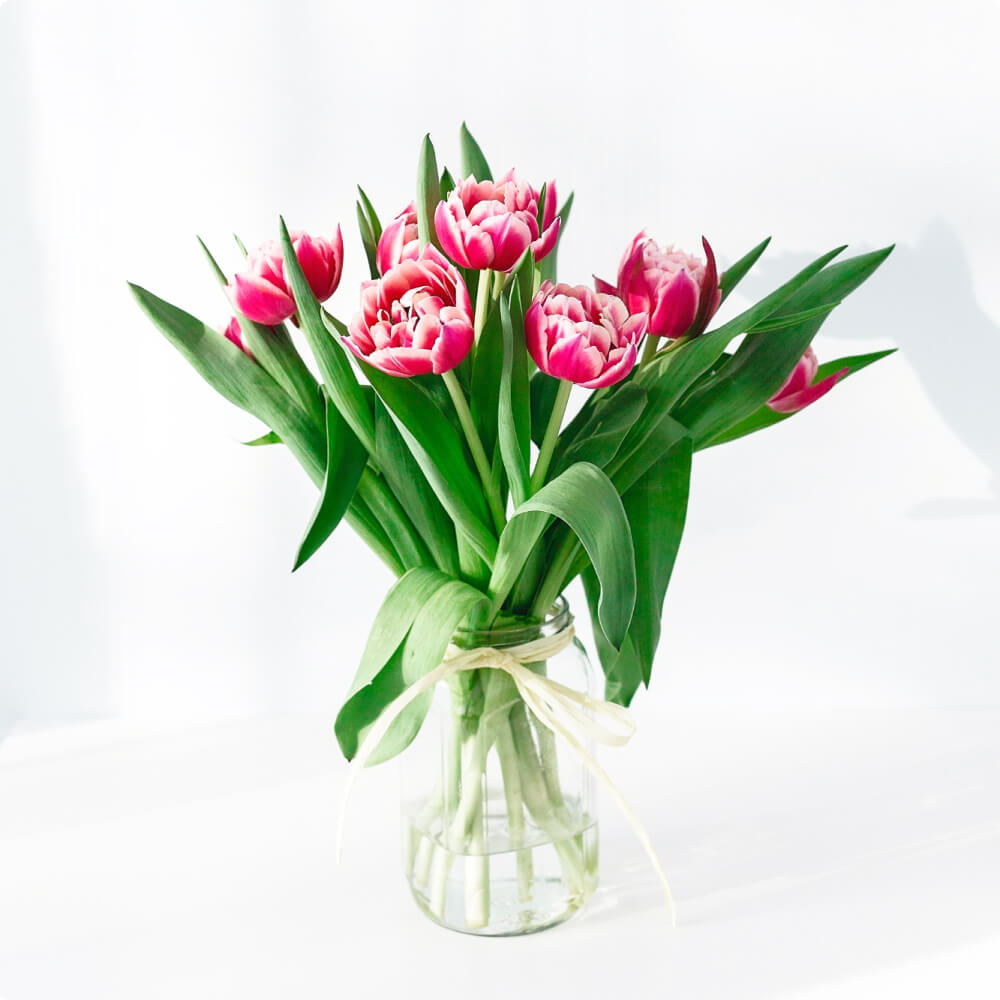 Tulip Flower - Imagen 3